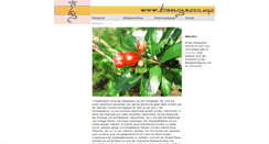 Desktop Screenshot of bibelgarten.info